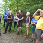 W drodze z Krościenka na Bojków Groń