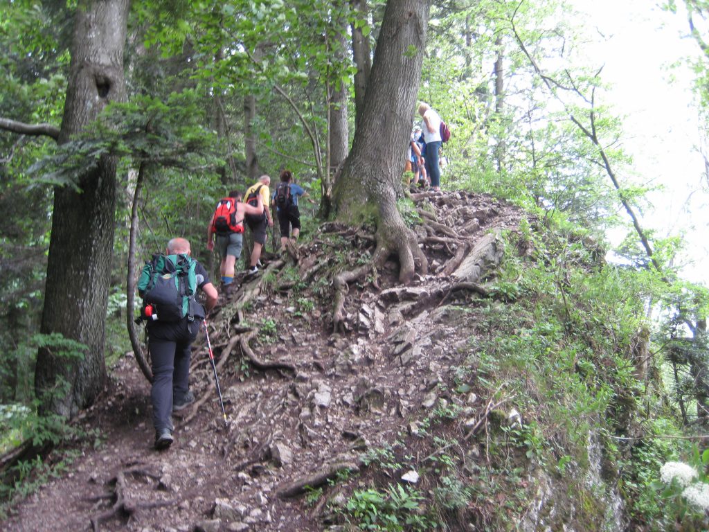 W drodze na Sokolicę wycieczkowicze pokonują stromy szlak