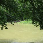 W oczekiwaniu na tratwę