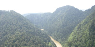 Album fotograficzny JDK: Wspominany ubiegłoroczną wycieczkę w Pieniny Widok ze szlaku na Dunajec