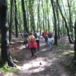 szlak prowadzący na Ferdel