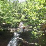 Przewodnik przy wodospadzie