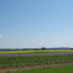 widoki z trasy rowerowej