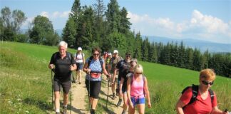 Odkrywanie polskiego Spisza z KK-T JDK i PTTK: Sielska kraina spokoju Uczestnicy wycieczki na Magurę Spiska idą ścieżką z kijkami Nordic Walking. Świeci słońce.