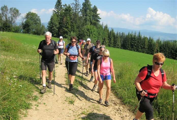 Uczestnicy wycieczki na Magurę Spiska idą ścieżką z kijkami Nordic Walking. Świeci słońce.