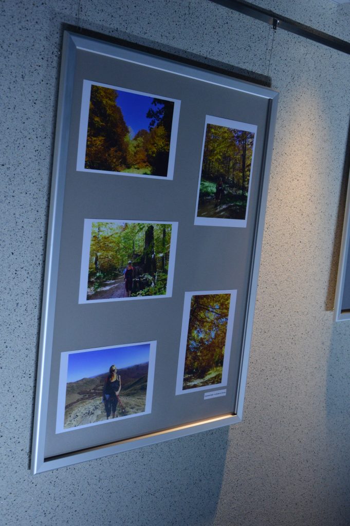 Na tablicy są 4 zdjęcia - widoki przyrodnicze, las jesienią - barwny i kolorowy