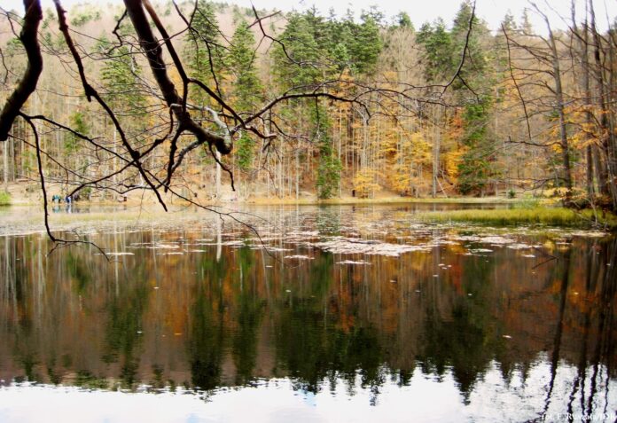 Jeziorka Duszatyńskie (2)