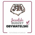 ikonka budzet