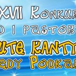 banerek na stronę