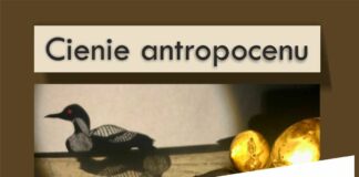 Instalacja świetlna „Cienie antropocenu” – odwołana!!!