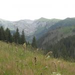 Doliny Tatrzańskie – widoki z trasy_05