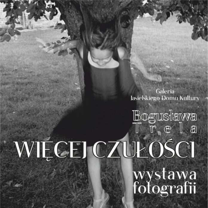 ikonka wystawa