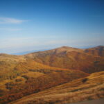 ekspozycja muzealna Bieszczadzkiego parku narodowego w Ustrzykach Dolnych