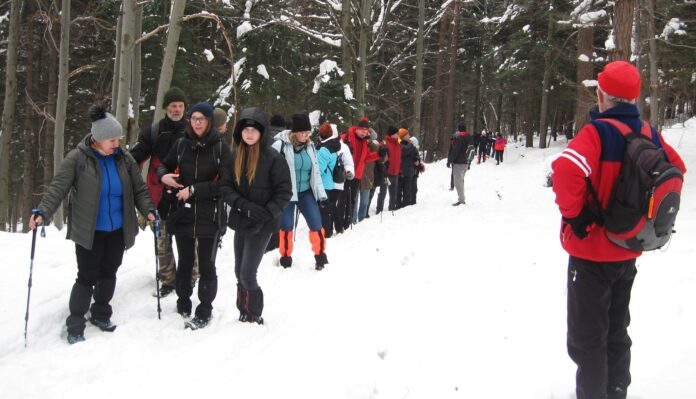 Zimowe atrakcje kurortu Wapienne Po wysoko zaśnieżonej, leśnej ścieżce idą uczestnicy wycieczki. Ubrani są kolorowo, po bokach stoją przewodnicy i nadzorują bezpieczeństwo wędrujących