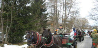 Zaprzęgnięte w dwa ciemne konie dorożką wiezie asfaltową drogą uczestników wycieczki. Jest dzień dookoła drzewa iglaste oraz drzewa bez liści