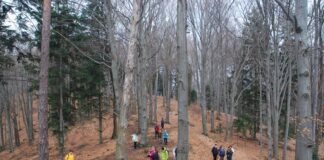 Zwiedzanie z KK-T JDK: Uroki Czarnorzecko-Strzyżowkiego Parku Krajobrazowego