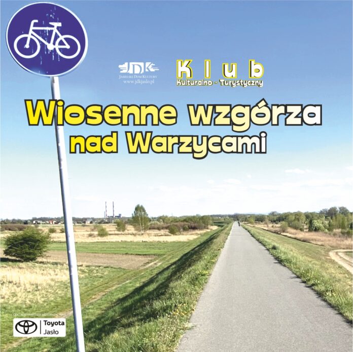 ikonka warzyce