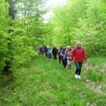 04. Poloninki Kalwaryjskie