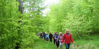Zwiedzanie z KK-T JDK: Na styku kultur Obraz zawiera: Grupę około 15 osób idących ścieżką przez las, ubranych w ciepłe kurtki. Z lewej strony znajduje się niższy drzewostan z prawej wyższe drzewa.