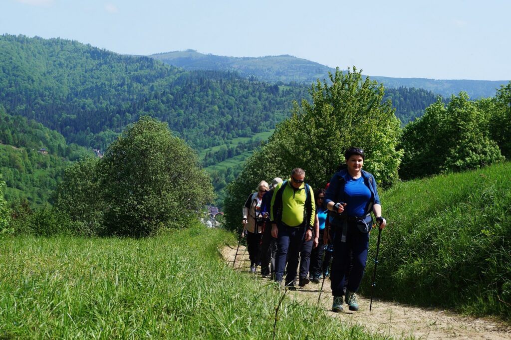 Niewielka grupka osób, wędruje górskim szlakiem turystycznym. Na wzniesieniu widać zielone pasma górskie. 