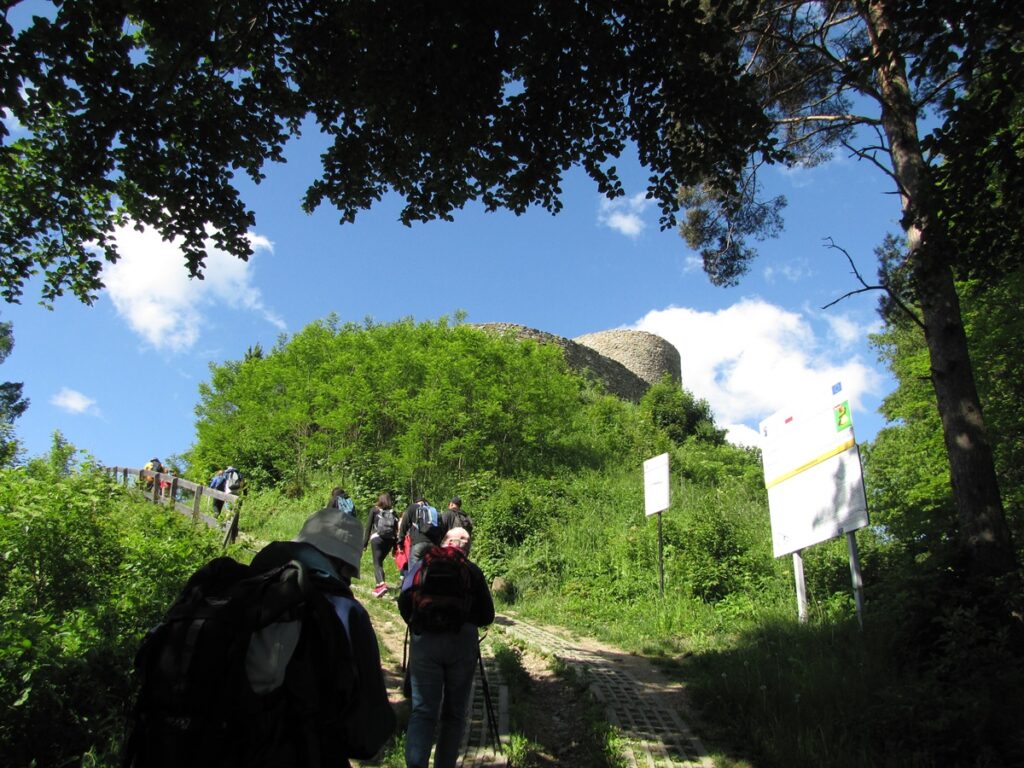 Grupa osób wchodzi na wysokie wzgórze nad Popradem, gdzie znajdują się ruiny zamku. Dookoła piękna, czerwcowa zieleń. 