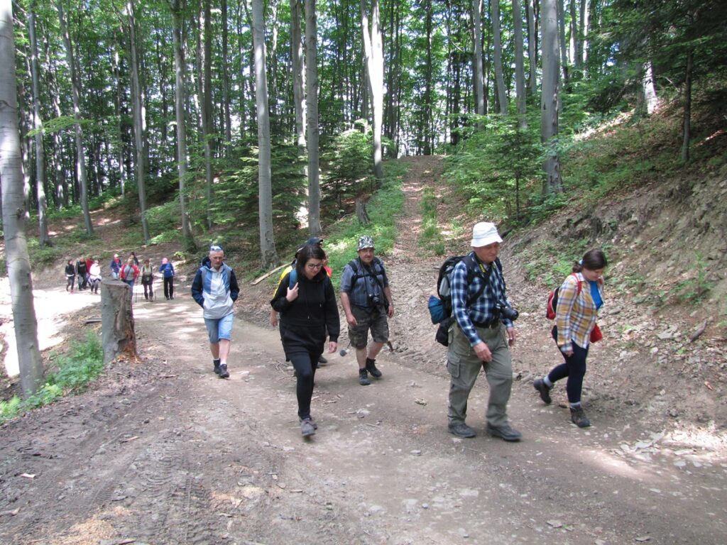 Uczestnicy wycieczki idą leśnym, górskim szlakiem. 