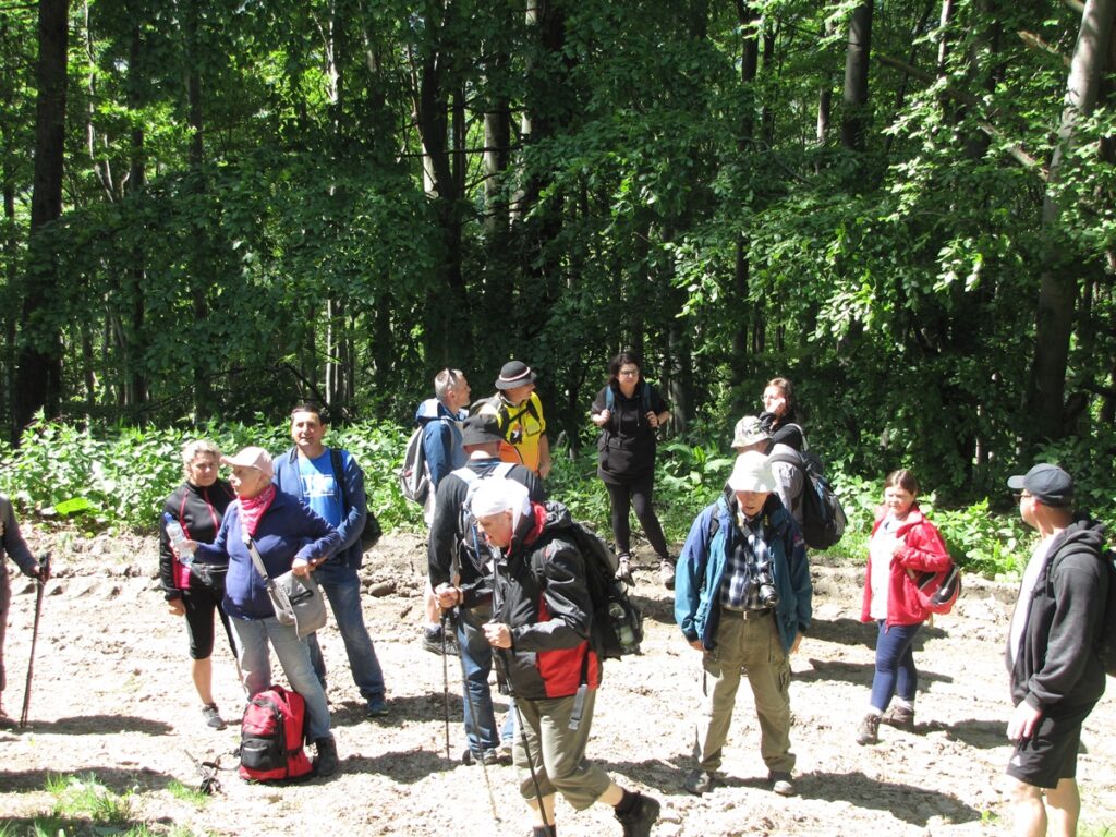 Grupa osób w trakcie postoju na górskim szlaku. 