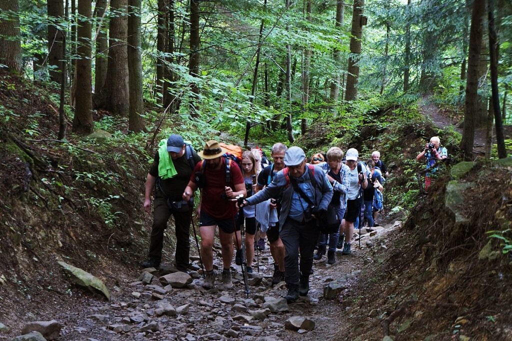 Grupa turystów wędruje górskim szlakiem. 