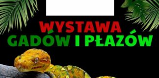 Wystawa zwierząt egzotycznych w JDK