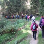 Pasmo Orawsko-Podhalańskie – grupa na wędrownym szlaku