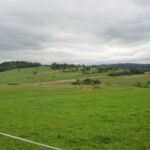 Pasmo Orawsko Podhalańskie – widoki z trasy