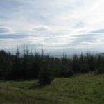 Pasmo Orawsko Podhalańskie – widoki z trasy z widocznym konturem Tatr