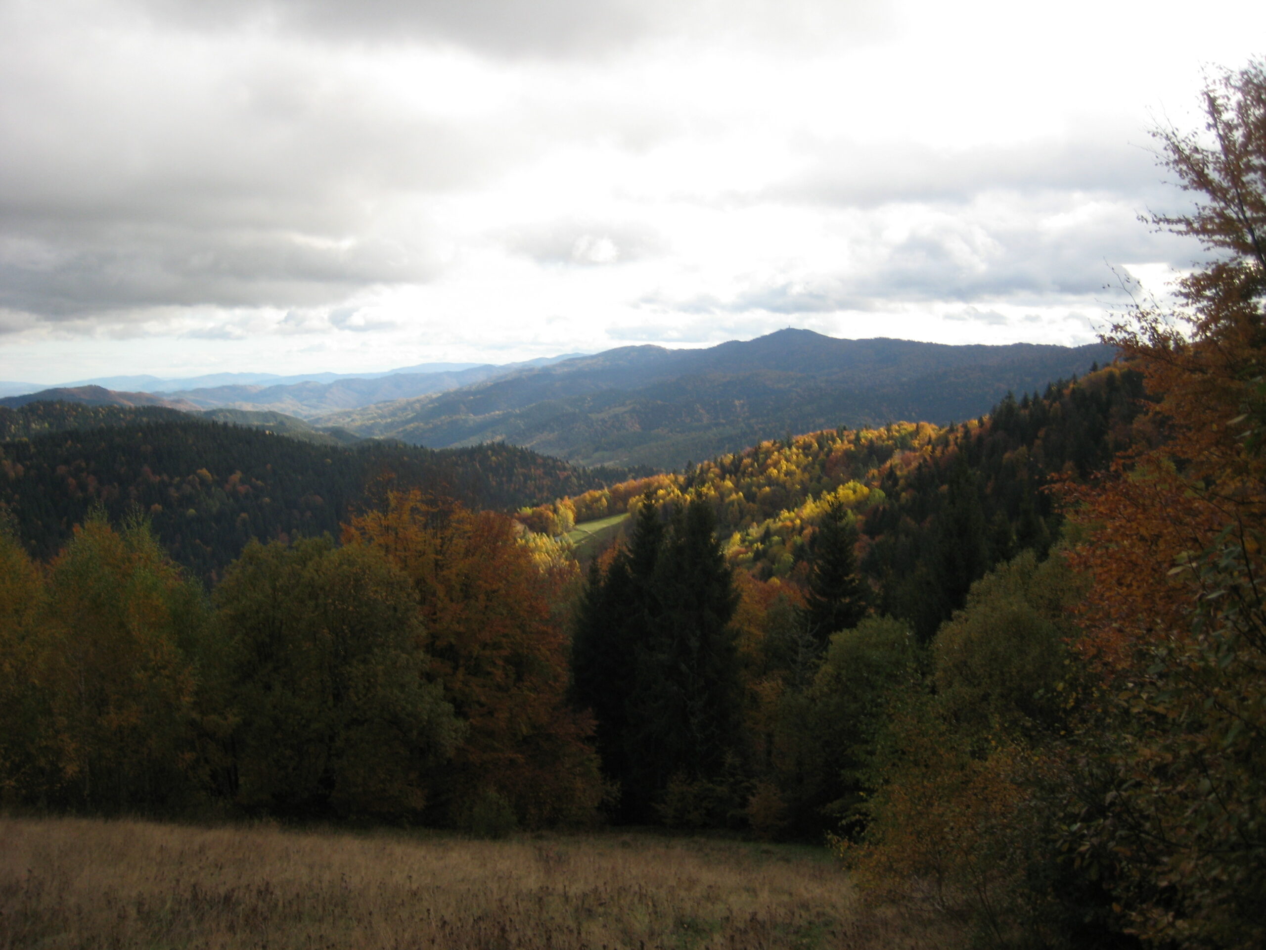 Jesienny widok na pasmo górskie.