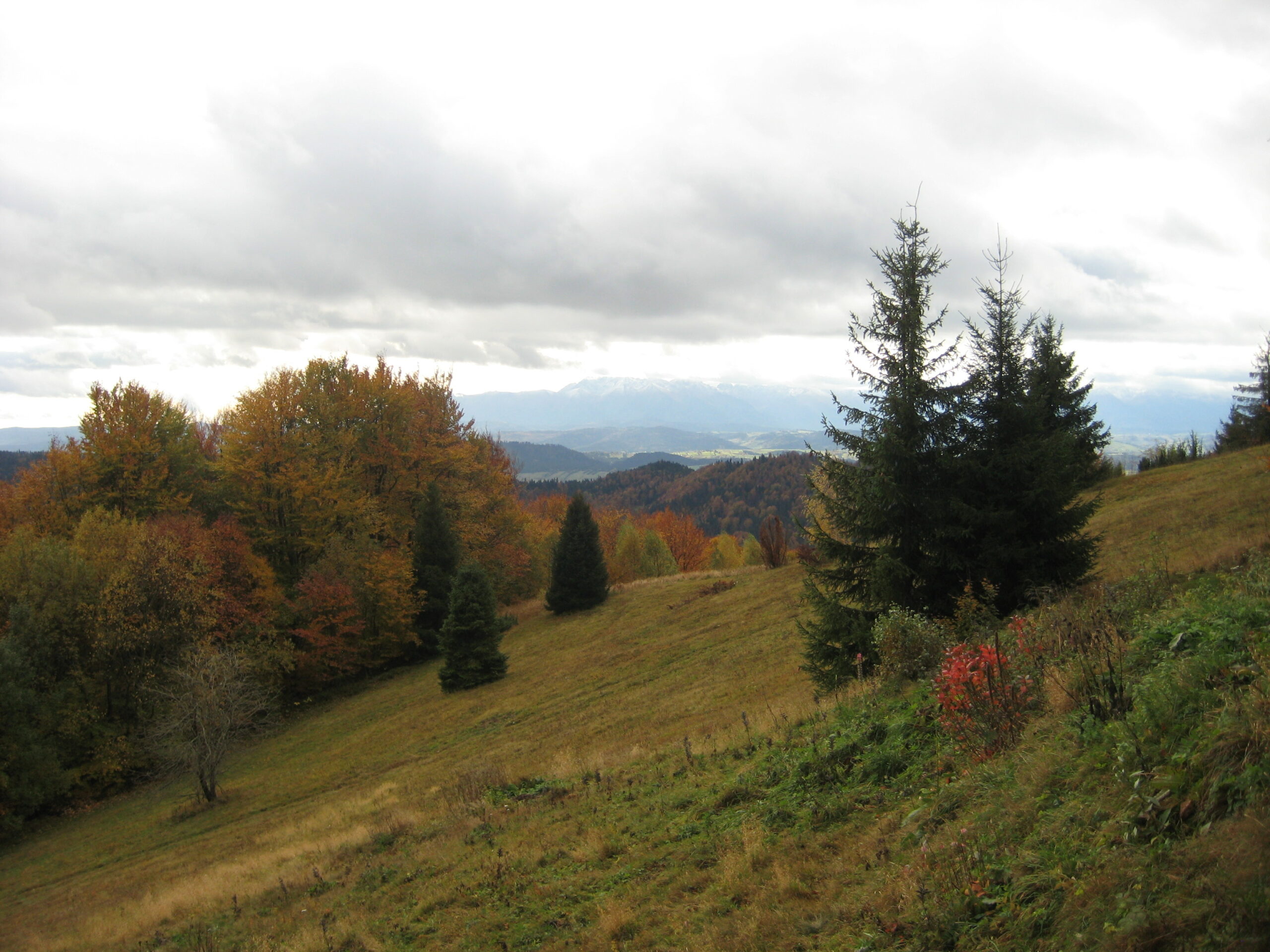 Widok na pasmo górskie z wędrownego szlaku.
