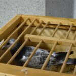 Klub Ludzi z Pasją Andrzej Kubacki_08