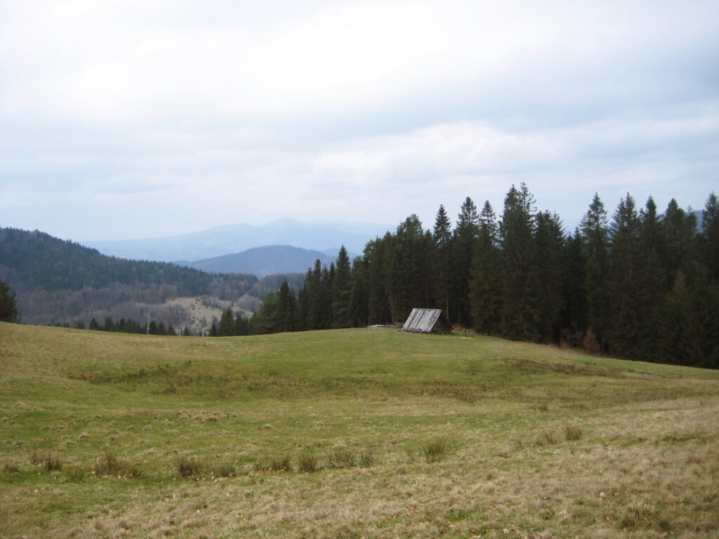 Widok na pasmo górskie z trasy wędrówki.