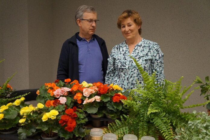 Państwo Dąbrowscy wśród kwiatów pozują do wspólnego zdjęcia.