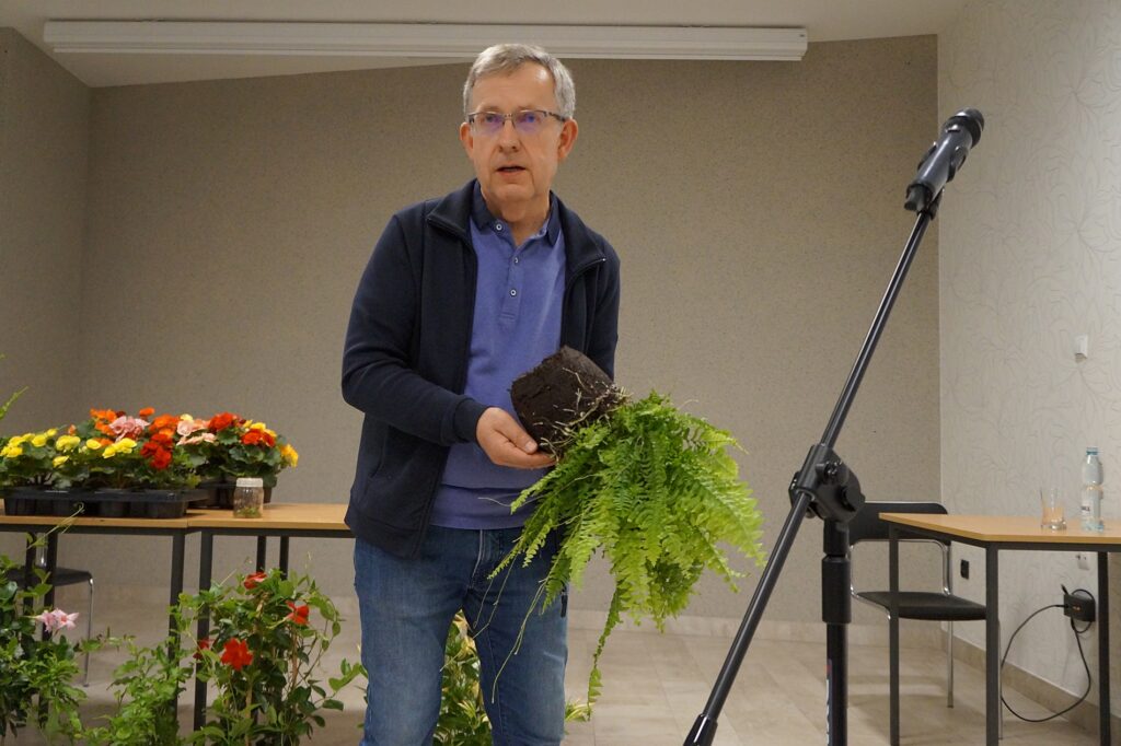 Pan Kazimierz prezentuje uczestnikom spotkania dużą, zieloną paproć.