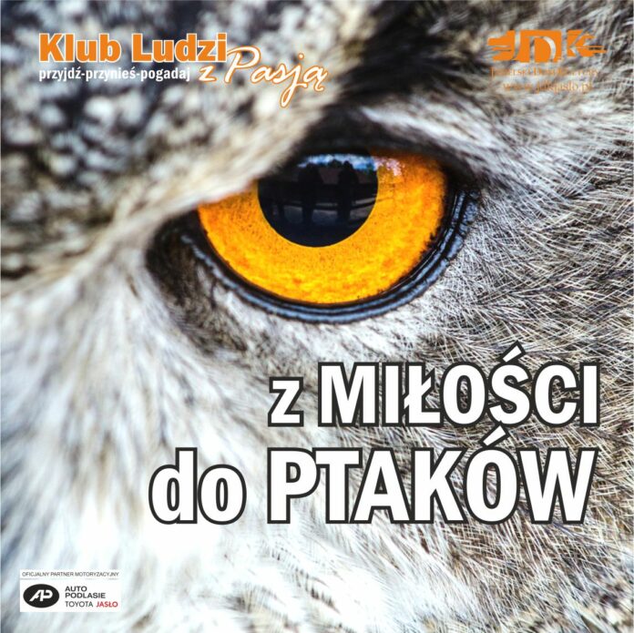 ikonka o ptakach