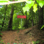 0c2dddde-06dc-4465-bd46-ccd3ccbbbb73