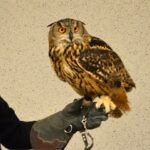 38. Klub Ludzi z Pasją R. PogorzelskI_4