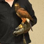 38. Klub Ludzi z Pasją R. Pogorzelski_3