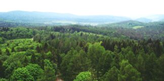 Zwiedzanie z KK-T JDK i PTTK: Wiosenne uroki Beskidu Niskiego