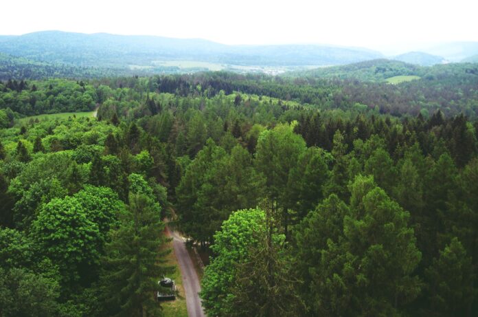 Studencki szlak Beskid Niski - widoki z wieży Vysny Komarnik Słowacja