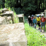 e46a7ee0-39ff-40db-a3dd-eb3b40a2b98d