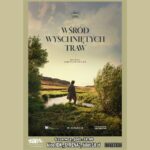 miniaturka – wśród wyschniętych drzew