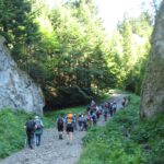 Trzy Korony- na szlaku w Wąwozie Sopczańskim