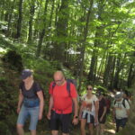 Bieszczady: Smerek i Krysowa – w drodze na Przełęcz Orłowicza