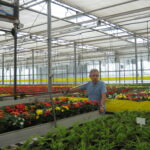 Dębowiec – w oranżerii p.Dabrowskich