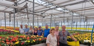 Zwiedzanie z KK-T JDK i PTTK w Jaśle: W baśniowych oranżeriach